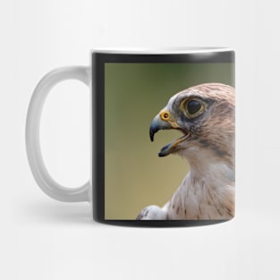 Saker Falcon Mug